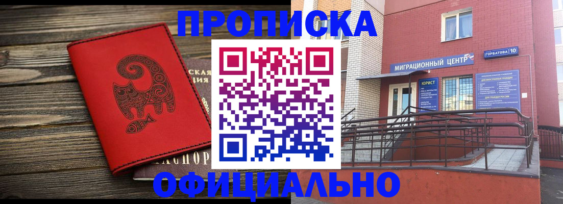 прописка поиск в Железногорске